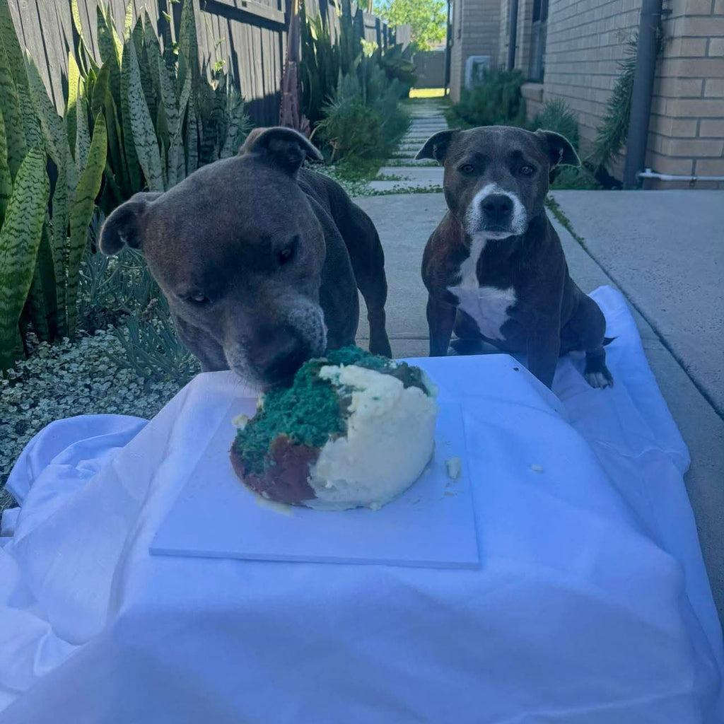 Gender Reveal Cake (Medium/Large)