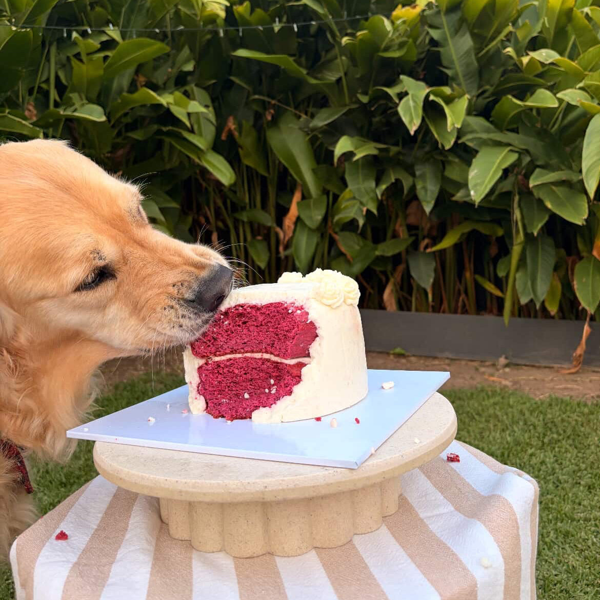 Gender Reveal Cake 17cm